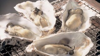 能登七尾湾の冬の味覚「養殖の牡蠣」を食べに来て！かき祭り始まるよ