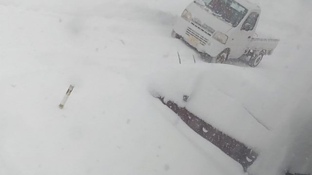 石川県の冬の雪はどんな感じ 今年はまだ金沢は雪が降りません いしかわ案内人